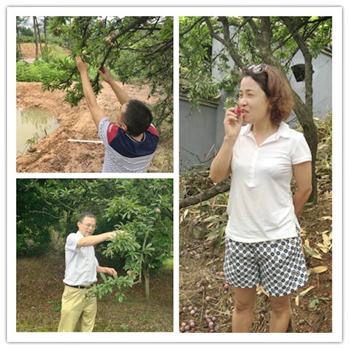 仙鶴股份有限公司官方網(wǎng)站 仙鶴股份有限公司官方網(wǎng)站